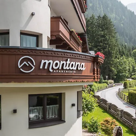 Montana 호텔 3*