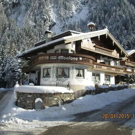 Отель Montana
